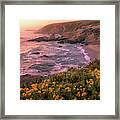 Bodega Head Sunset Framed Print