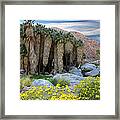 Borrego Palm Canyon In Anza-borrego Framed Print