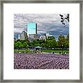 Boston Common Memorial Day Flags Dramatic Sky Boston Ma Tree Framed Print