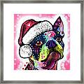 Boston Terrier Christmas Framed Print