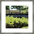 Bridge In Japanese Garden Framed Print