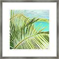 Bright Coconut Palm I Framed Print