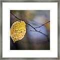 Bright Fall Leaf 1 Framed Print