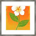 Bright Flower Framed Print