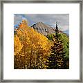 Brilliant Autumn Aspen In The San Miguels Framed Print