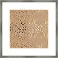 Bronzed Beauty Framed Print