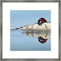 Brrrhh. Seems To Be Cold This Morning :) Framed Print