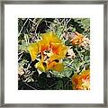 Bug Feast Framed Print