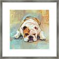 Bulldog With The Blues Framed Print