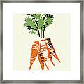 Bunch Of Carrots Framed Print