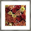 Bunch Of Fairtrade Roses From Above Framed Print