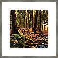 Bushcraft Solo Wilderness Painting Framed Print