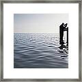 Businessman Standing In The Ocean Framed Print