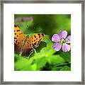 Butterfly Garden Framed Print