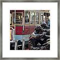 Cable Car And Paparazzi Dogs 2 Framed Print