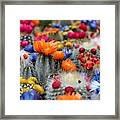 Cacti Flowers Framed Print