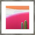 Cactus Against Pink Wall Framed Print