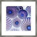 Cactus - Cacti In Negative Effect Framed Print