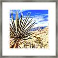 Cactus Fronting Framed Print