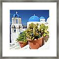 Cactus On Santorini Framed Print