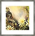 Cactus Owl Framed Print
