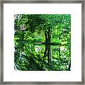 Calm In The Evening Framed Print