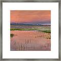 Camas Purple And Gold Framed Print