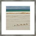 Camels Crossing Desert With Lake Assal Framed Print