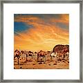 Camels In Wadi Rum Framed Print