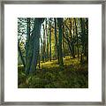 Canaan Valley At Sunrise Framed Print