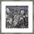 Canal Stumps-027 Scabs Framed Print