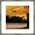 Canopy Of Gold Fall Colors Framed Print