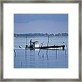 Cap-ferret, Oyster Framed Print