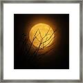 Captivating Harvest Moon Framed Print