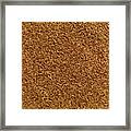 Caraway, Seen From Above Framed Print