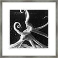 Caribbean Reef Octopus Framed Print