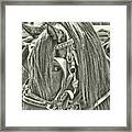 Carriage Horse Ride Framed Print