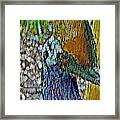 Cassowary Bird Portrait Framed Print