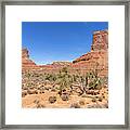 Castle Butte And Other Formations In Valley Of The Gods Near Mex Framed Print