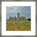 Castle In The Wildflowers Framed Print