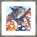 Cat On A Quilt Framed Print