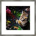 Catching Framed Print