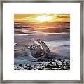 Caught In A Wave #2 Framed Print