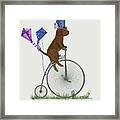 Cavapoo Brown On Penny Farthing Framed Print
