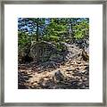 Cave Boulders Trees Steps Framed Print