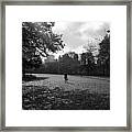 Central Park Framed Print