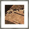 Chained Light And Shadow Framed Print