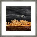 Chasing Light Framed Print