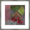 Cherries - Fruit Series Framed Print