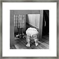 Child Peeking Under Voting Booth Framed Print